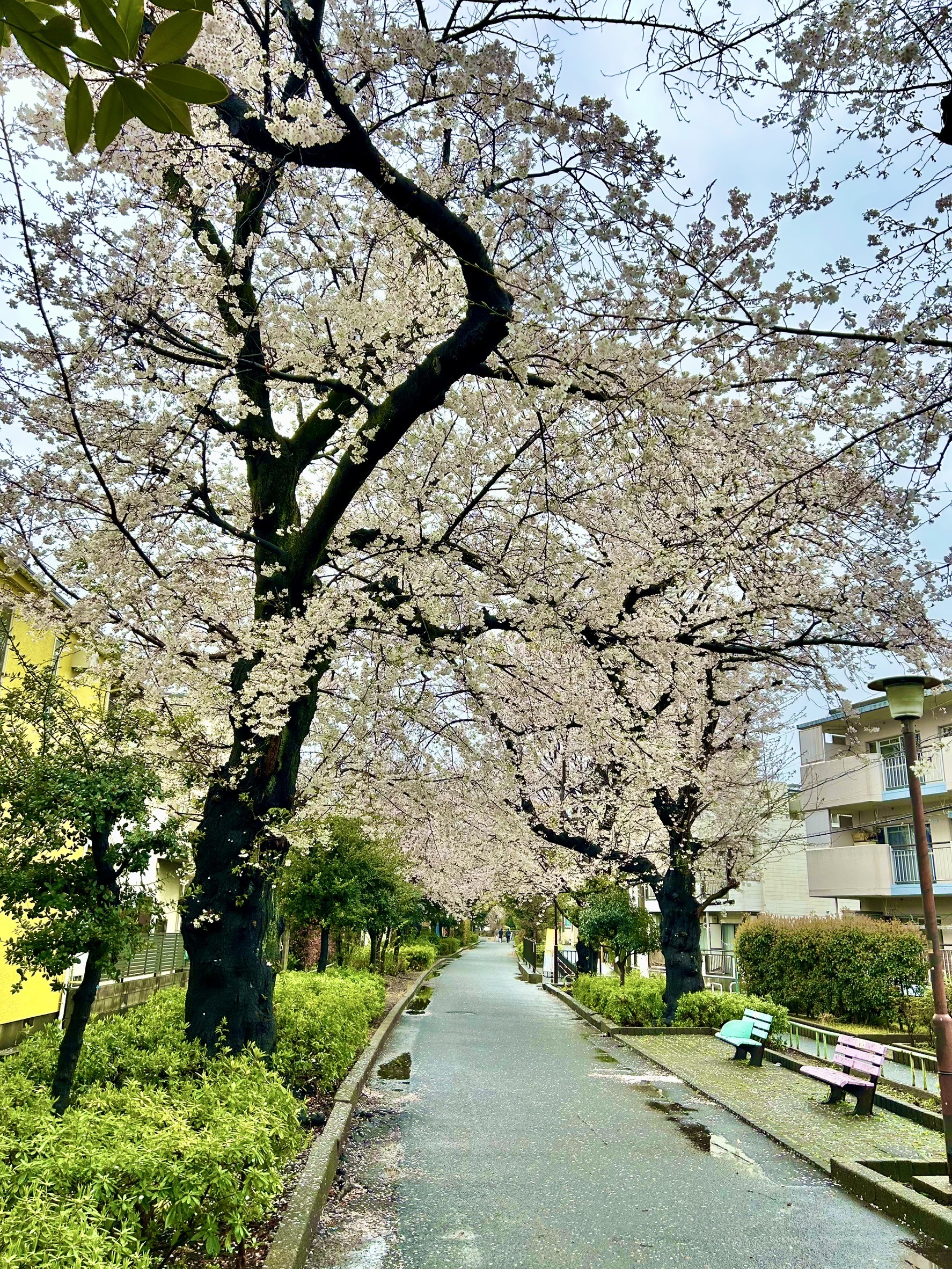 http://www.e-taishin.com/diary/img/20250407nakanishi4.JPG