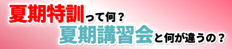 年度実績