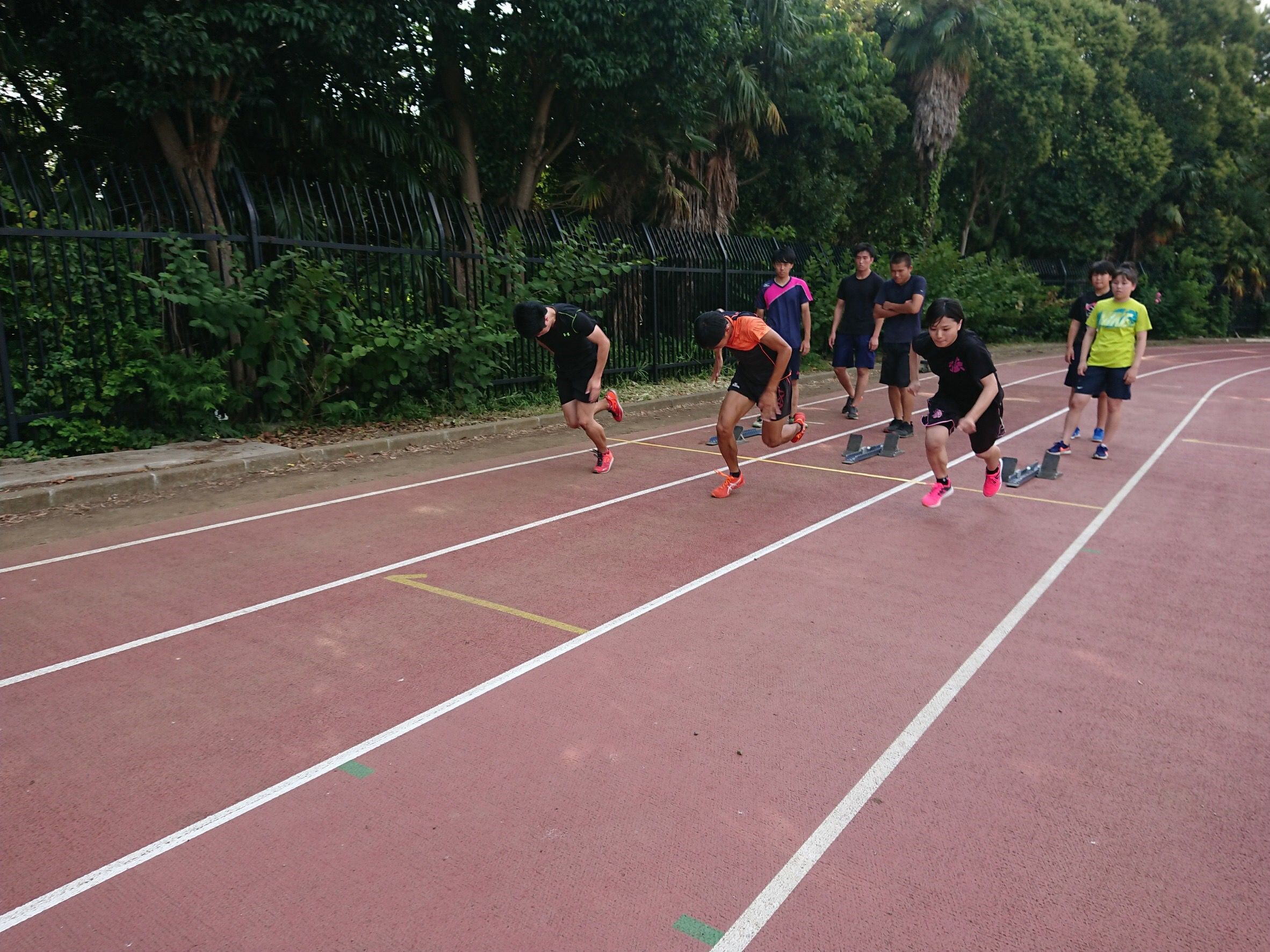 20180730kage07.jpg