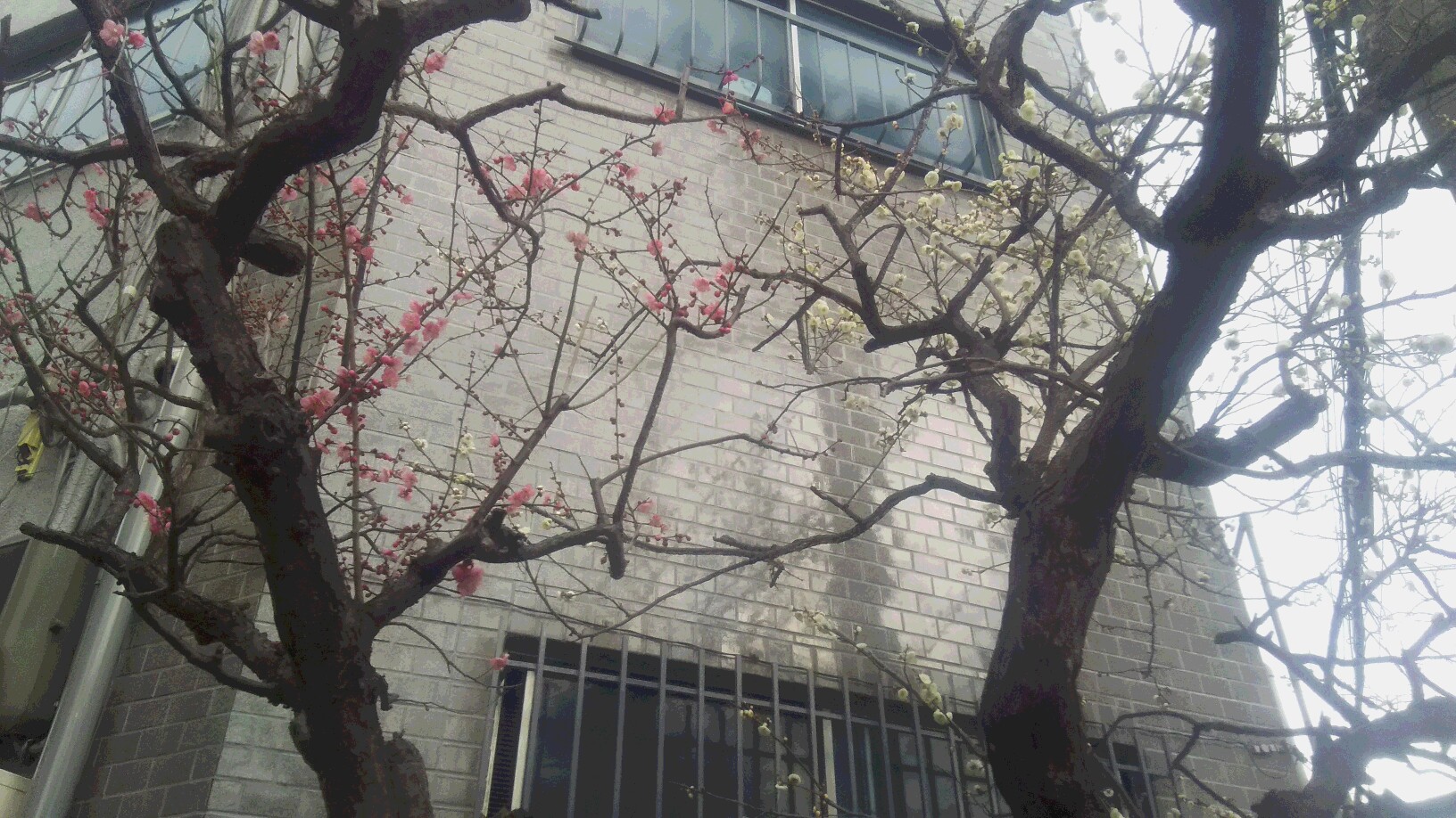 https://www.e-taishin.com/diary/img/20200208arai_1.JPG