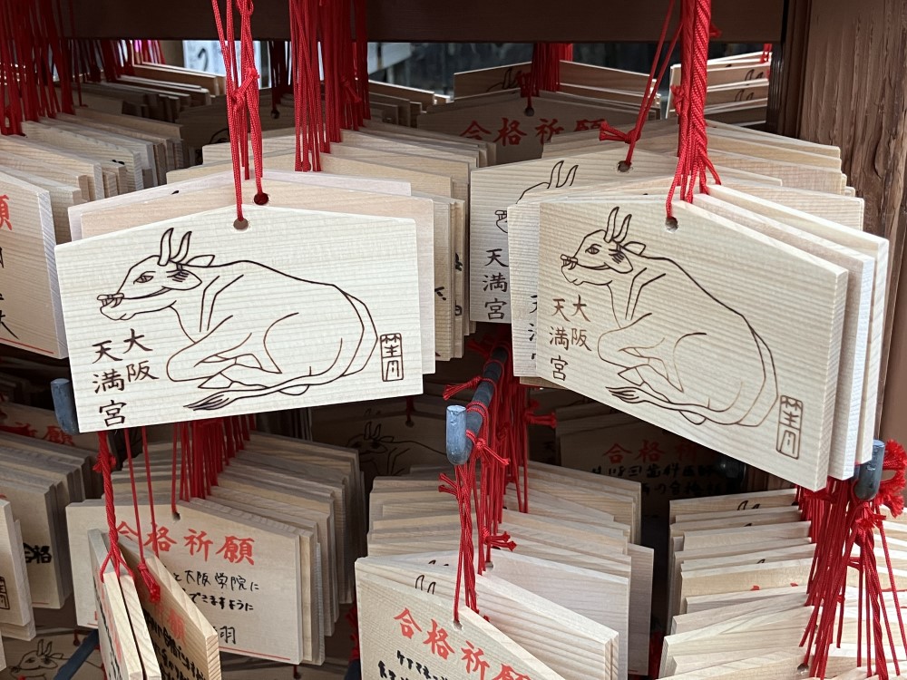 https://www.e-taishin.com/diary/img/20250225tom2.jpg