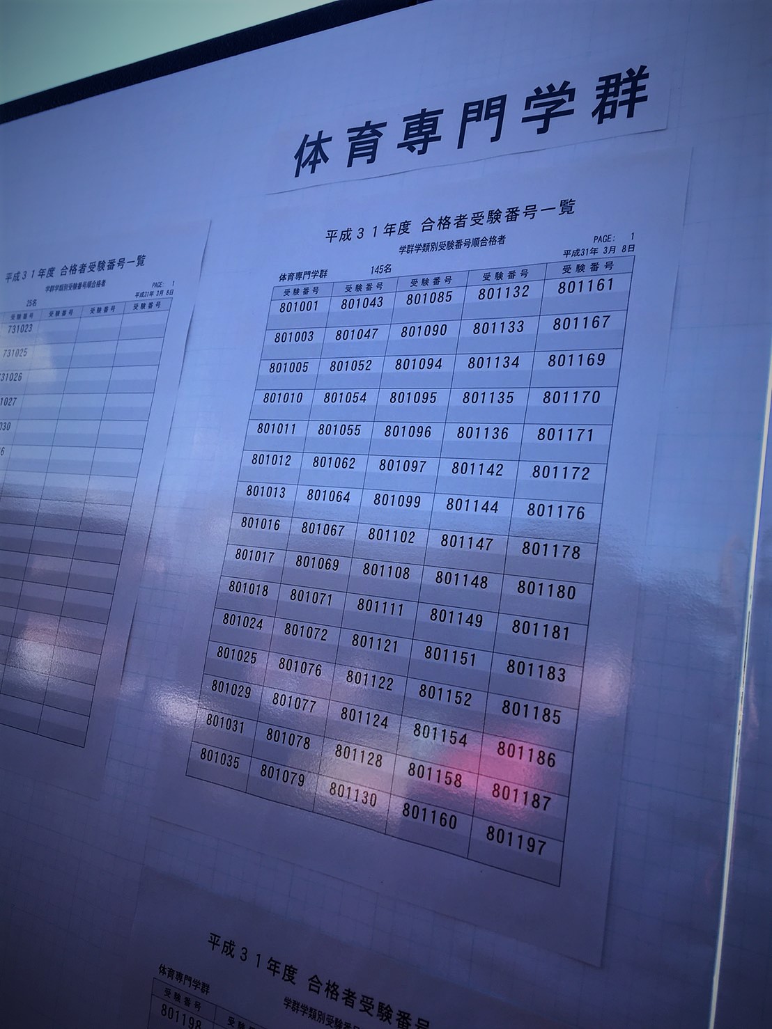S__14811156.jpg