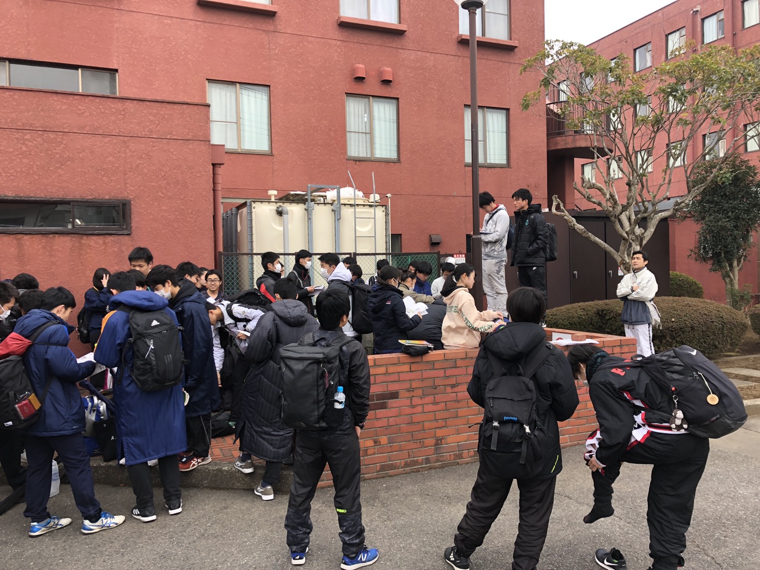 S__97173519.jpg